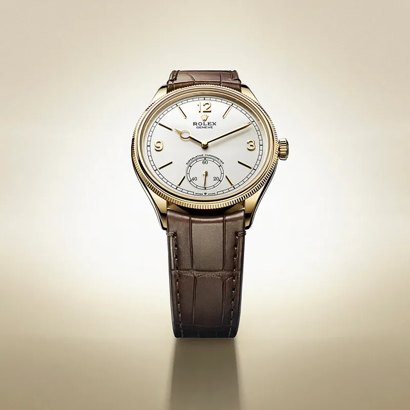 Rolex Watches James & Williams Jewelers Berwyn Chicago IL