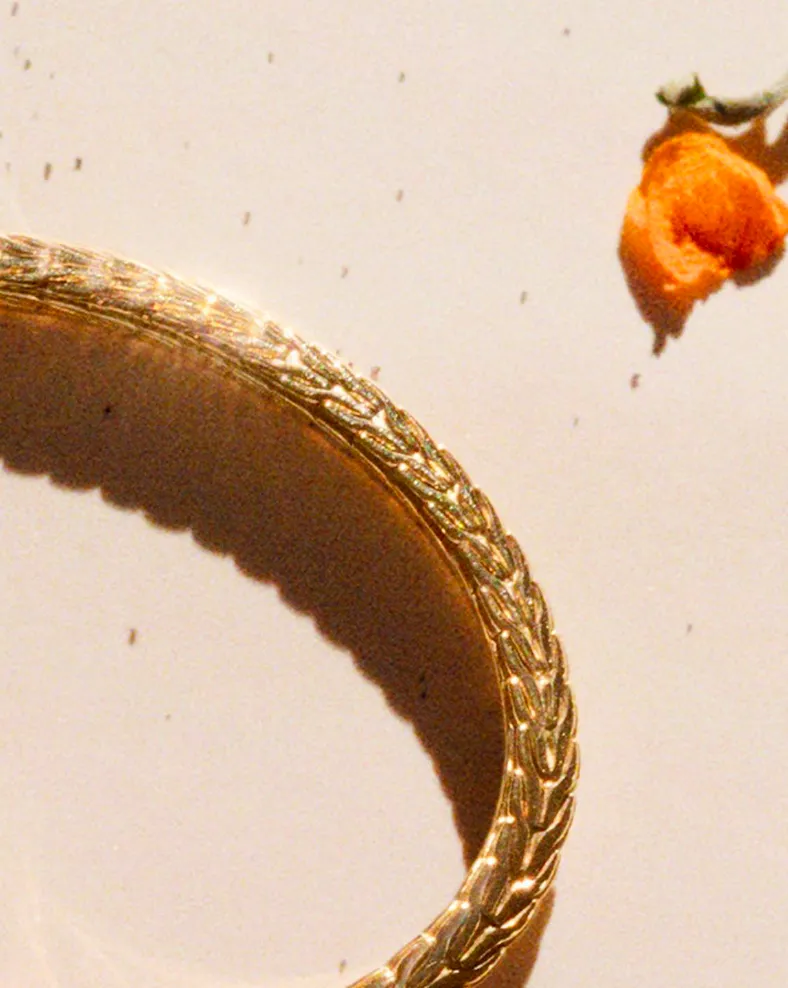 James & Williams Jewelers, Inc. Berwyn's Home for Fine Jewelry