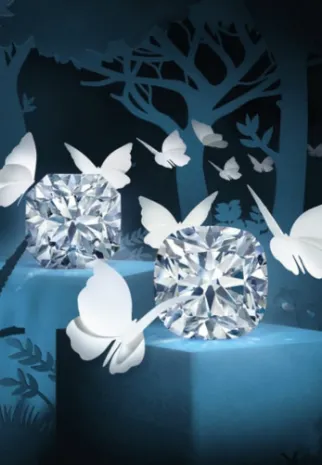  The Forevermark Tribute™ Collection James & Williams Jewelers Berwyn, IL
