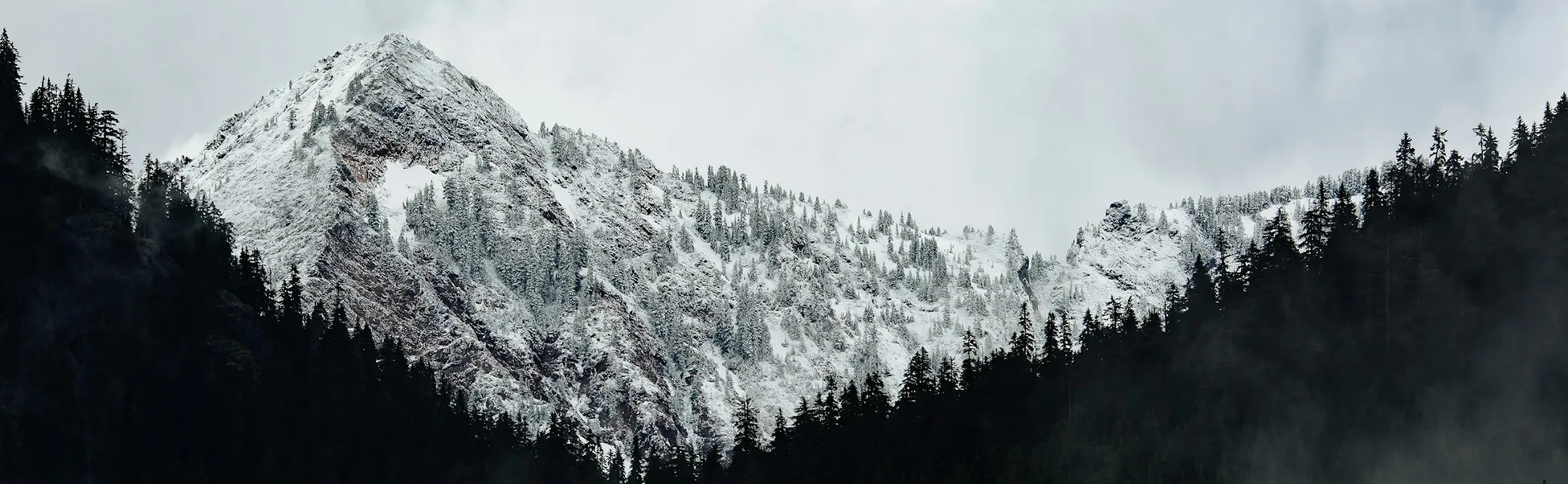 Diamond jewelry ring with intricate design