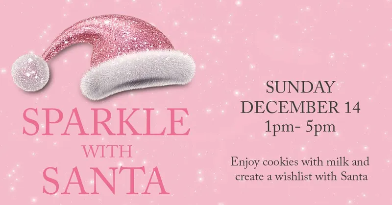 Read article: 2025 Sparkle with Santa