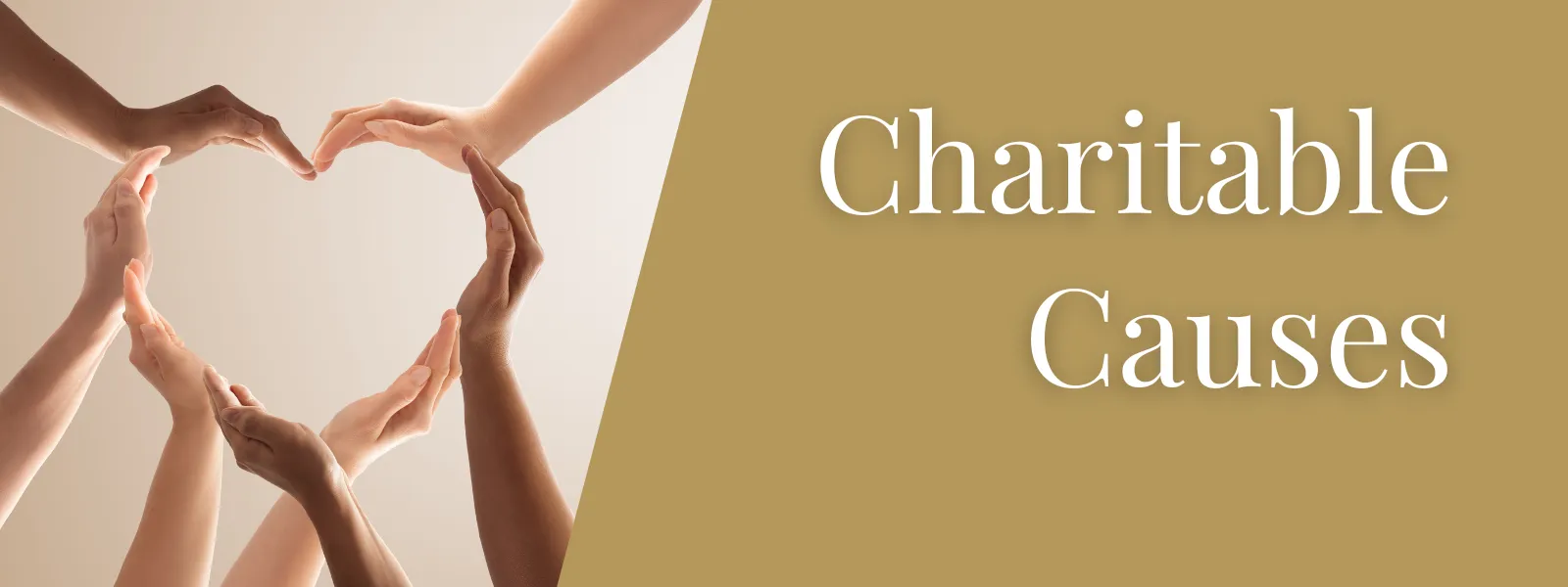Charitable Causes Banner Image
