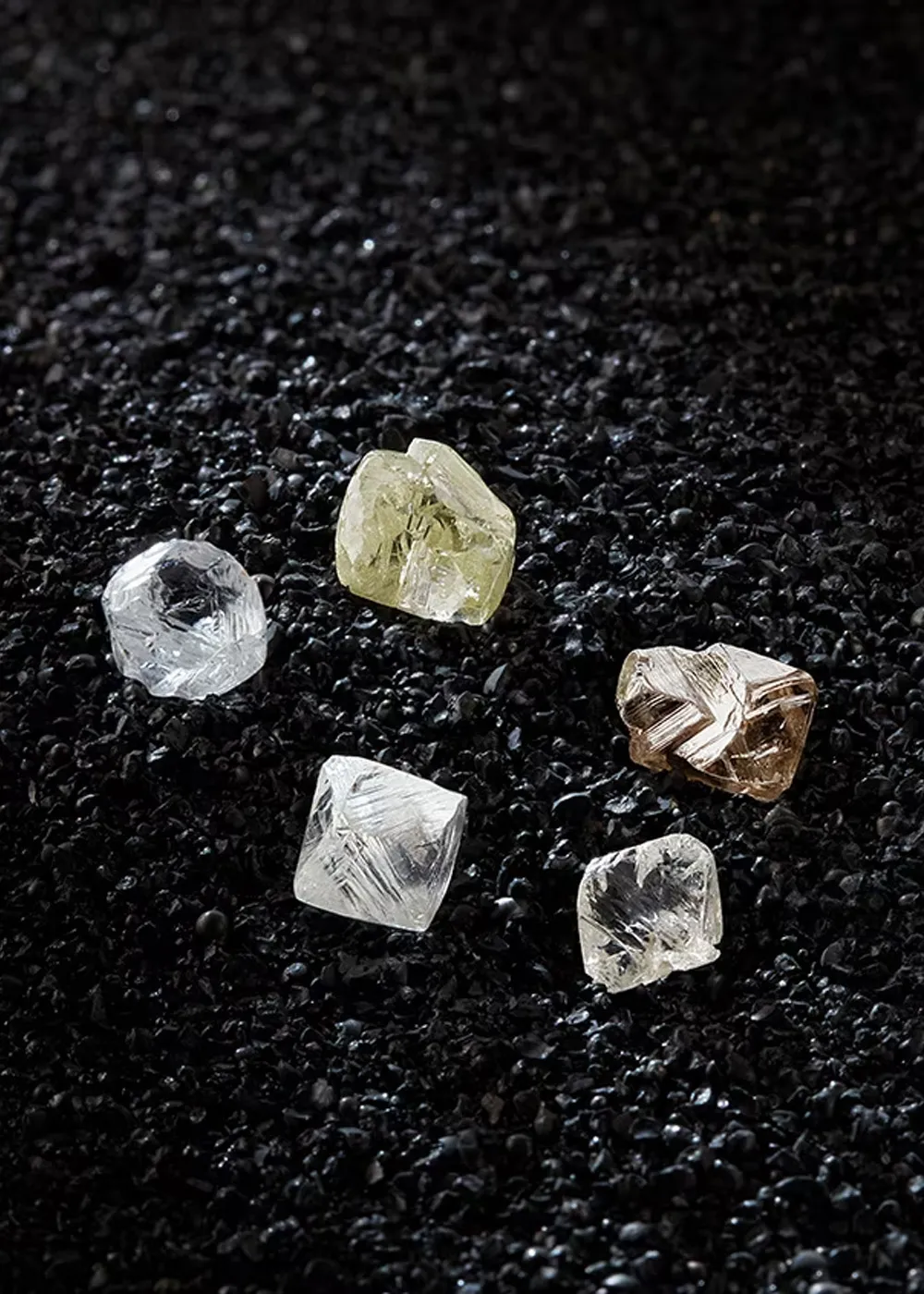 De Beers Forevermark Beautiful and Rare Diamonds at La Mine d'Or Jewellers, Moncton, NB and Halifax, NS