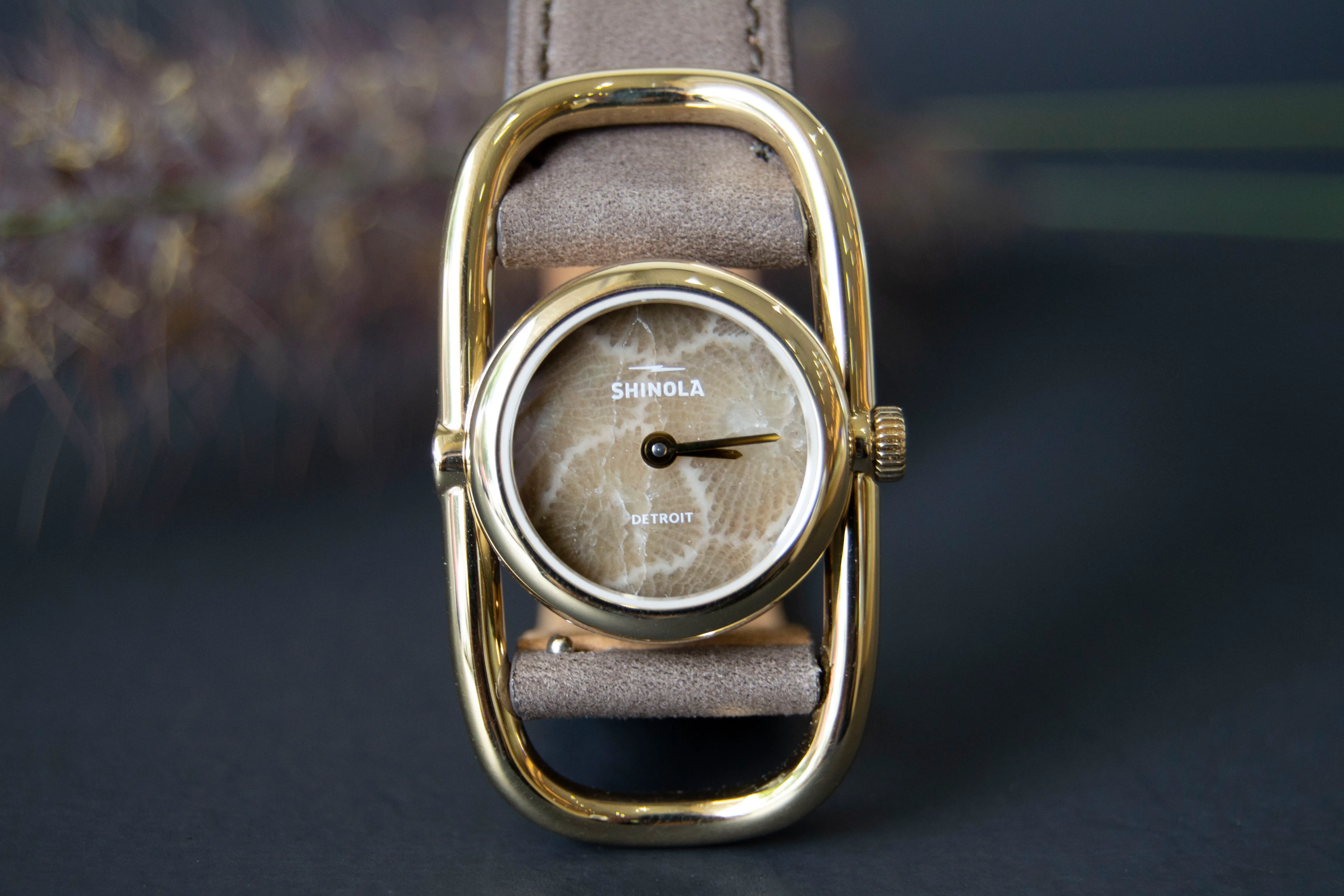 shinola gold bike lock with petoskey watch face