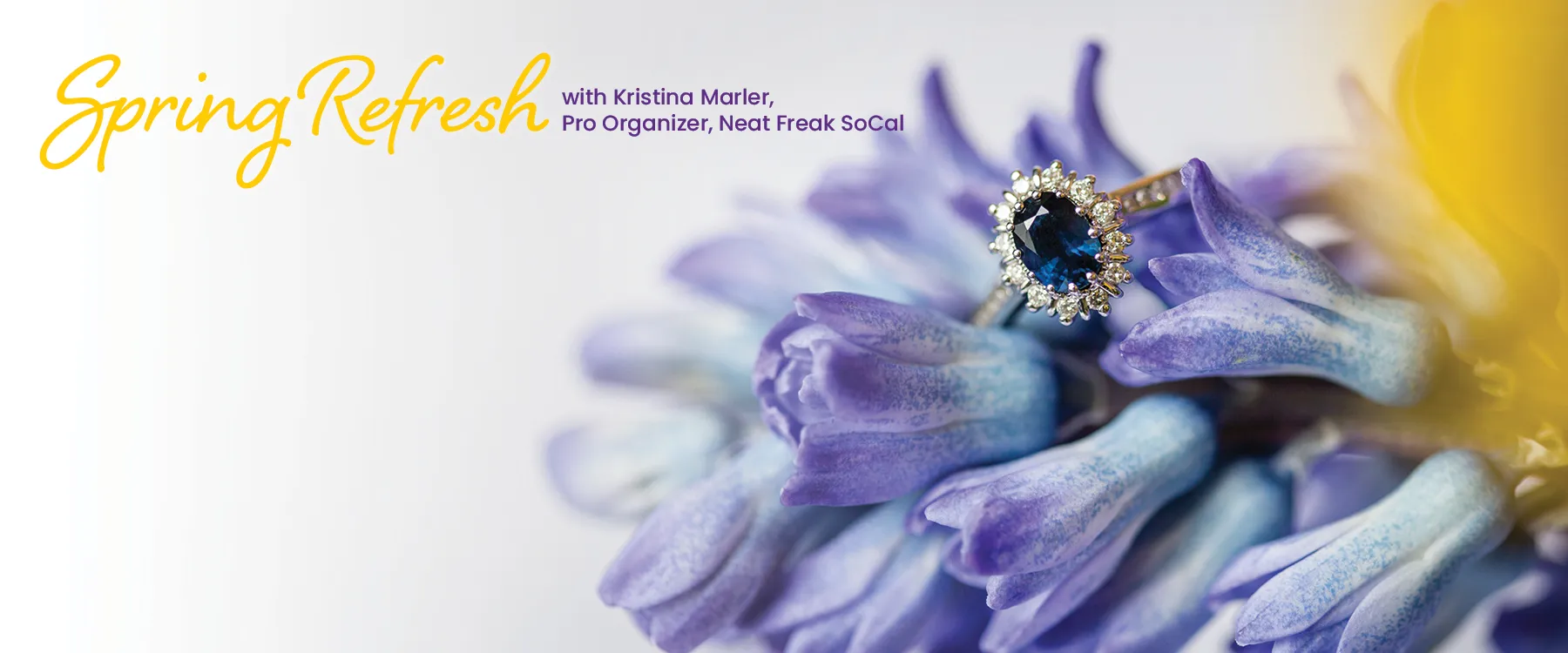 Join our Spring Refresh Event on Saturday, April 18 from noon to 4 pm. Get your home and jewelry sparkling and organized.