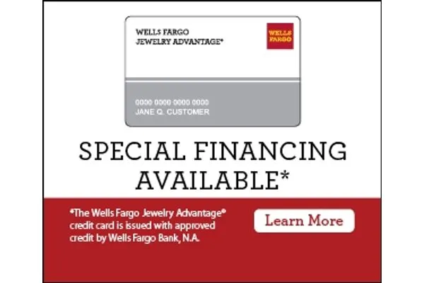 Financing Options We offer a variety financing options up to 60 months. Complete your financing application today! Lee Anns Fine