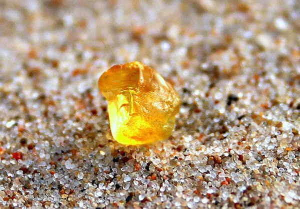 Amber Rush Returns to Europe's Shores After Storms Churn Up 'Baltic Gold'
