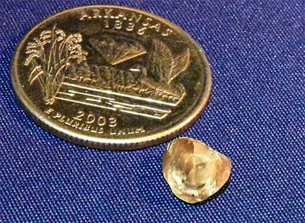 Return Trip Brings Sparkling Success for Couple at Crater of Diamonds Park