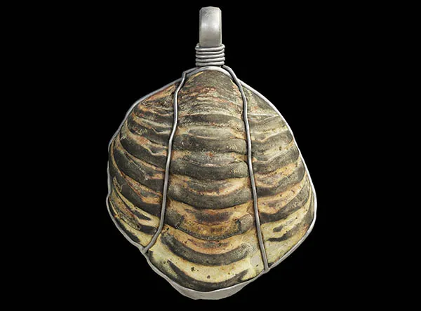 Read Article: Study: Ancient Romans Wore 450-Million-Year-Old Fossils as Protective Amulets