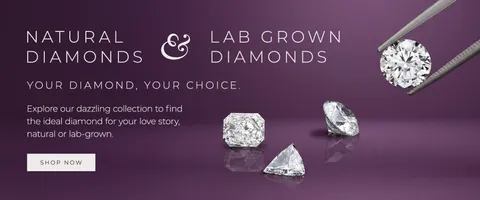 Homepage slide 6