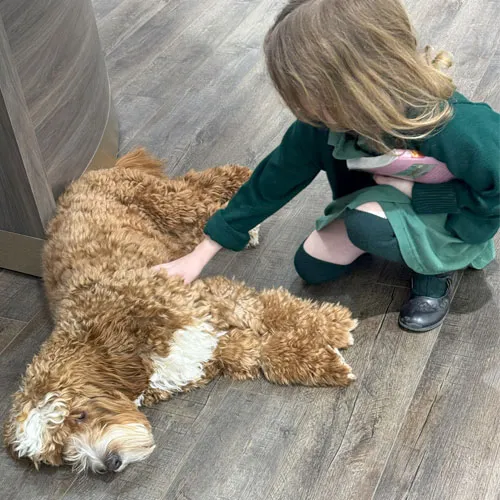Milo playing with a child at Midtown Jewelers