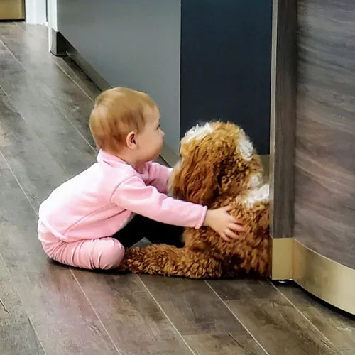 Milo with a baby at Midtown Jewelers boutique