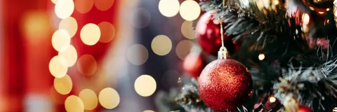 Click here to create your Wish List