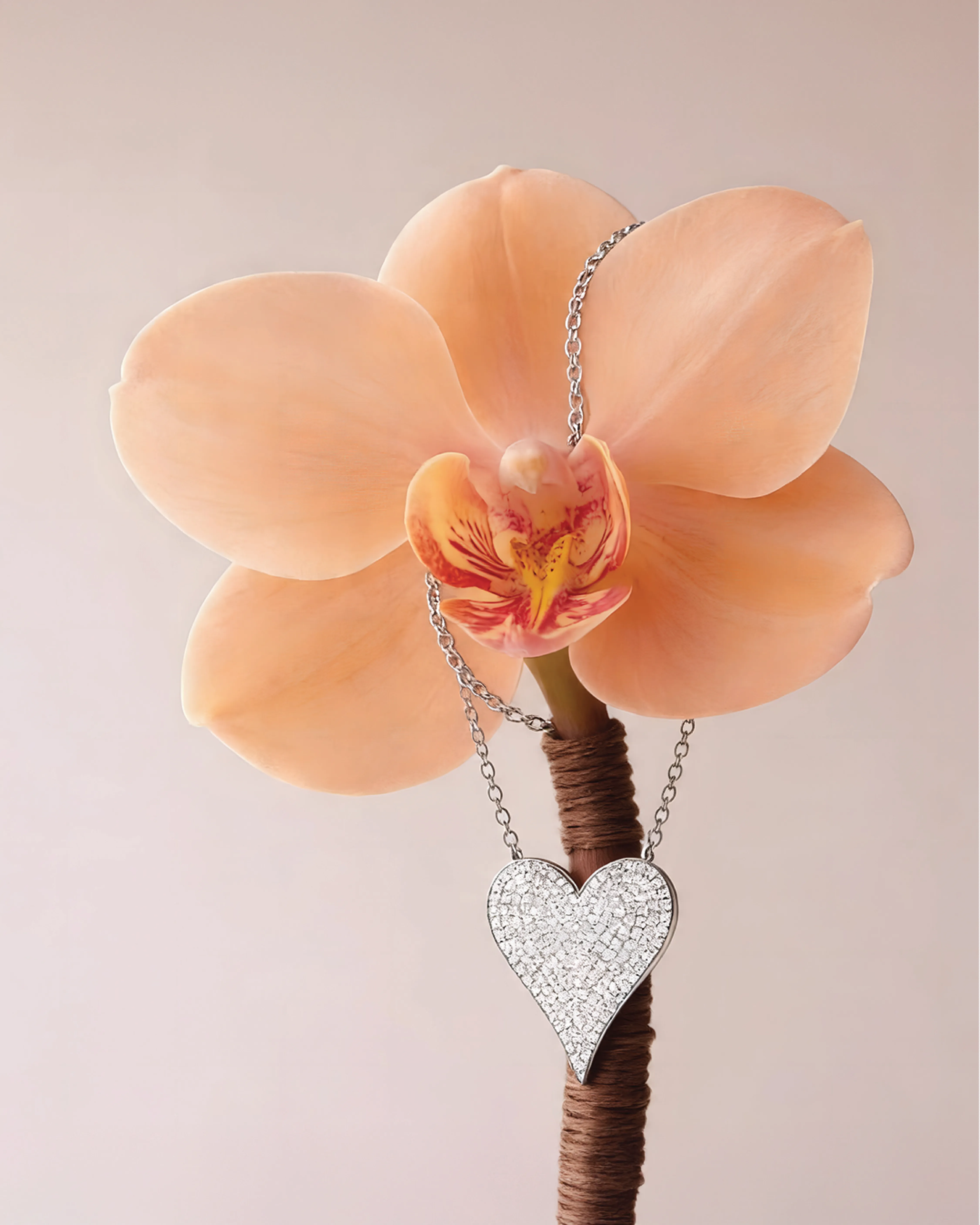 Title of this Widget  Mollys Jewelers Brooklyn, NY