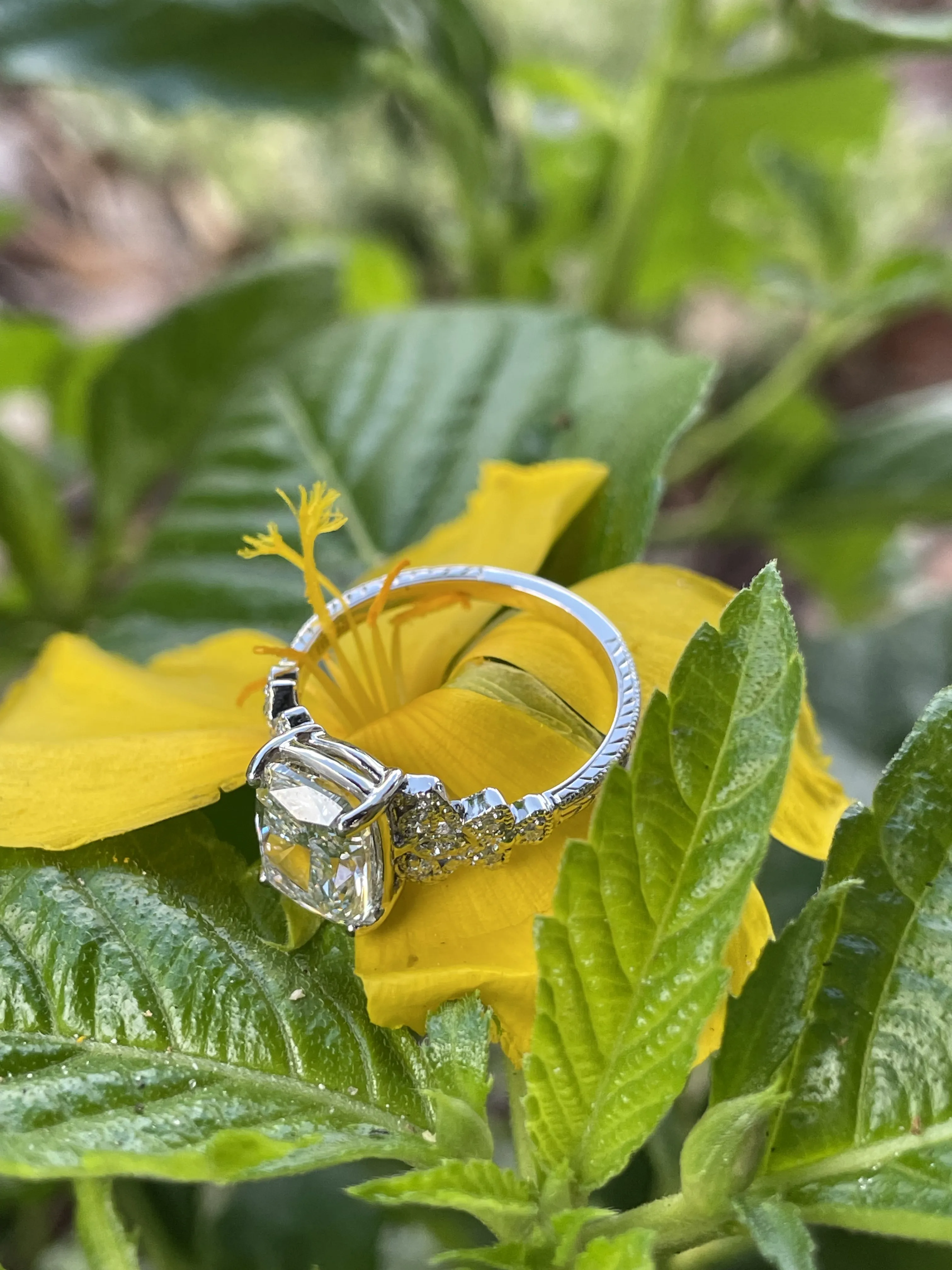 A diamond engagement ring resting on a vibrant yellow flower surrounded by green leaves. Visit Monarch Jewelry for more.