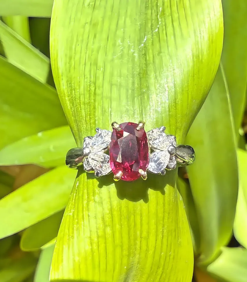 A stunning ruby ring with diamond accents, set against vibrant green leaves. Visit Monarch Jewelry in Winter Park.