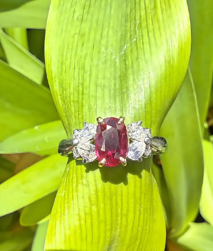 A stunning ruby ring with diamond accents, set against vibrant green leaves. Visit Monarch Jewelry in Winter Park.
