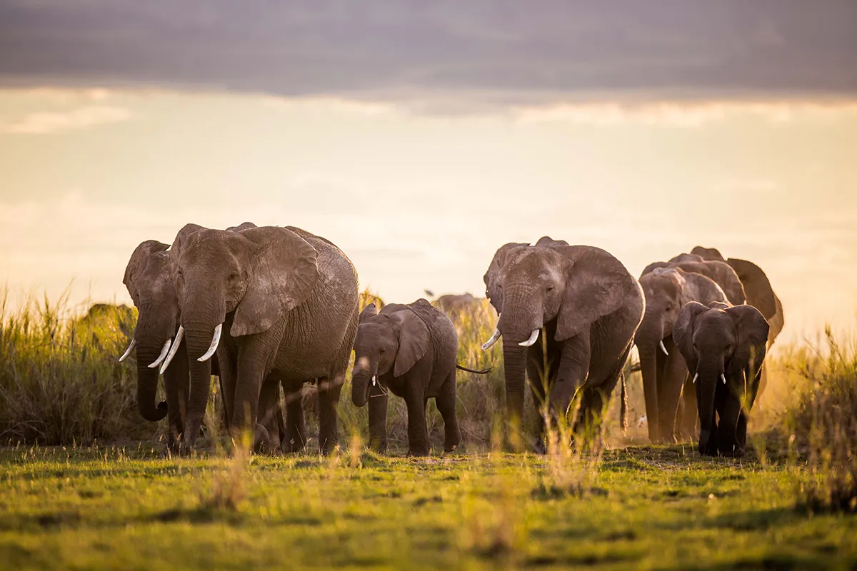 Mystique Jewelers Alexandria, VA