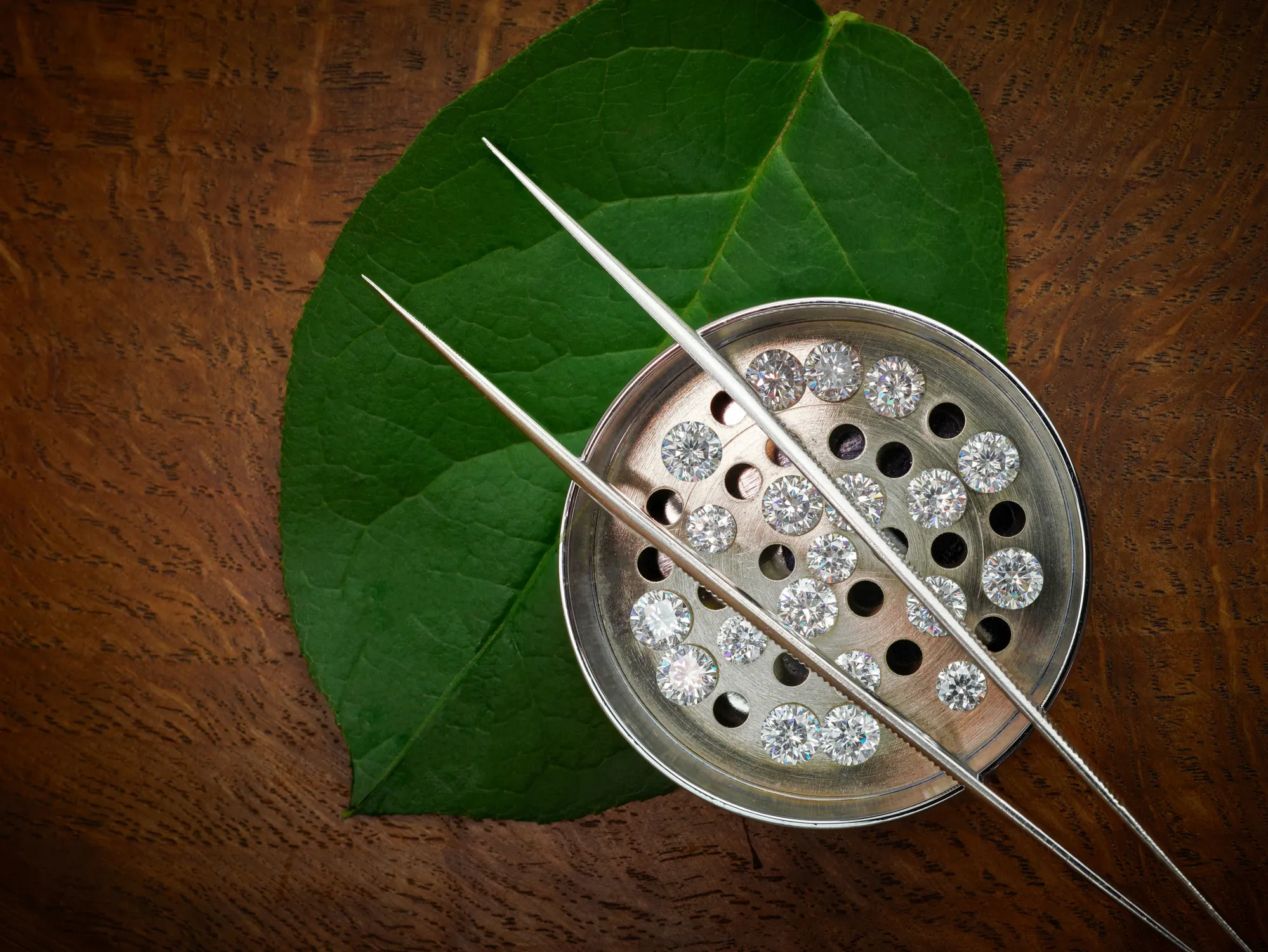 1SELECT DIAMOND SEED Choose the best quality diamond seed. The diamond seed is placed on a metal disk. Orin Jewelers Northville, MI