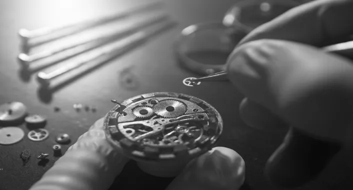 Concierge Watch Services