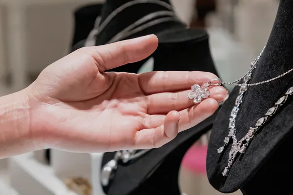 Learn about Insurance Appraisals image