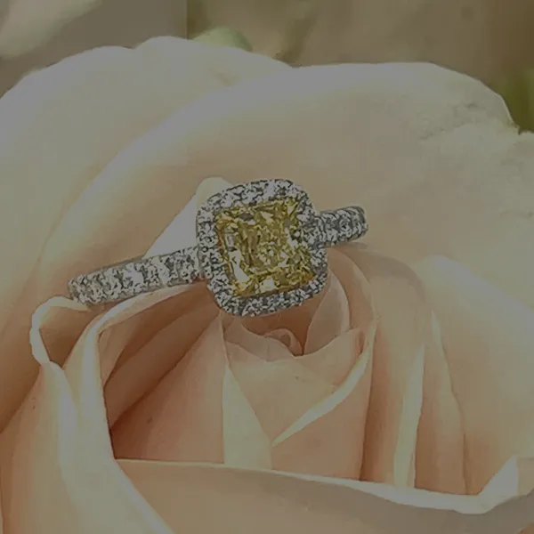 Engagement Rings at P.J. Rossi Jewelers Lauderdale-By-The-Sea, FL