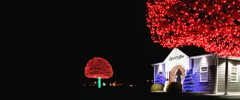 Shop Online...Pick Up In Store