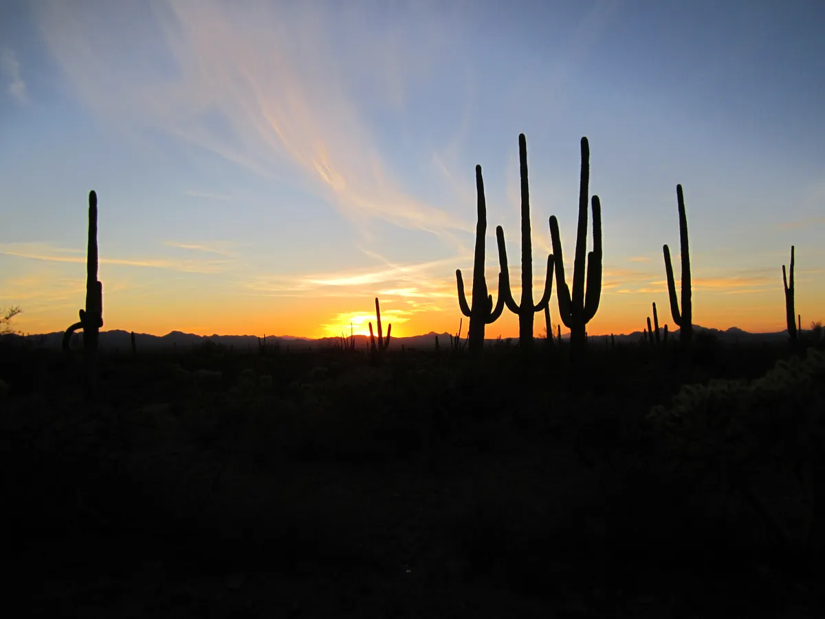 Top 5 Gilbert, AZ Places to Propose