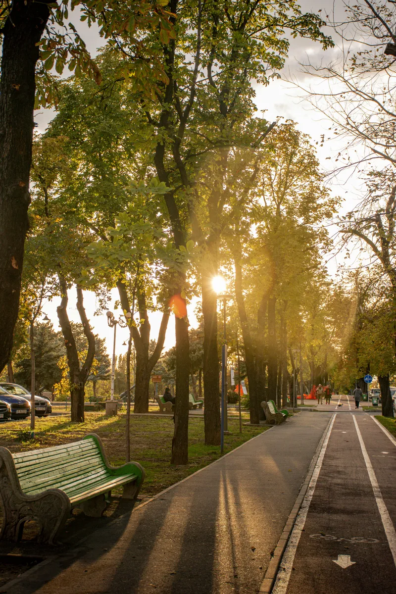 Read article: 10 Dreamy Phoenix Proposal Spots for Your Engagement