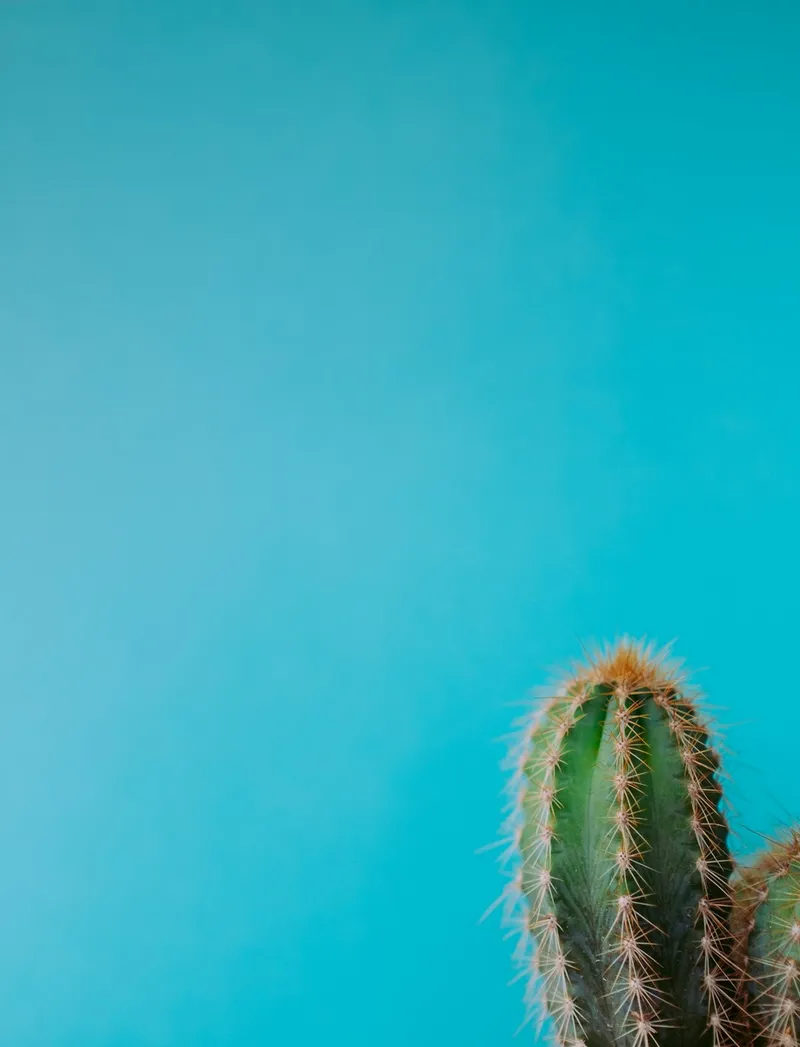 Read article: Stunning Large Turquoise Necklaces: Bold Style & Heritage