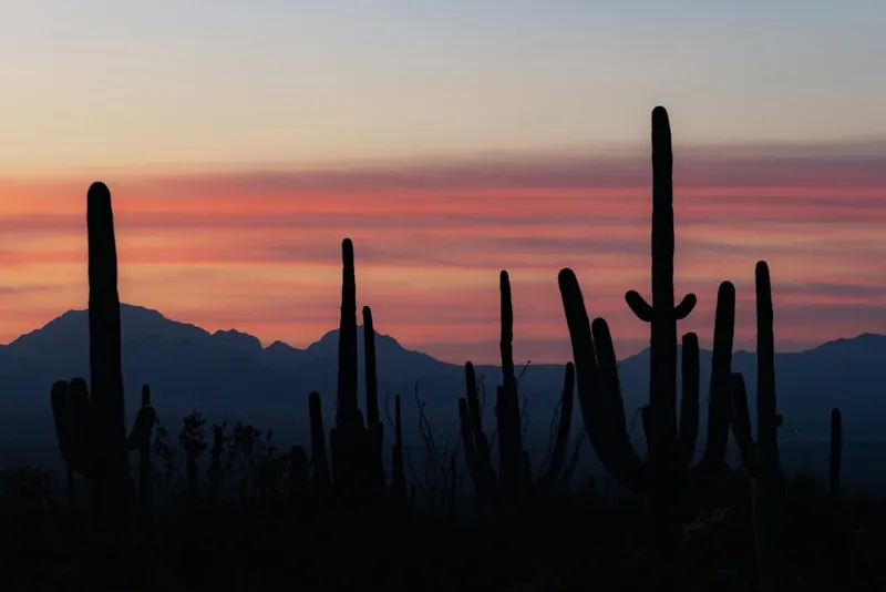 Read article: Affordable Wedding Venues in the Scottsdale / Phoenix Area