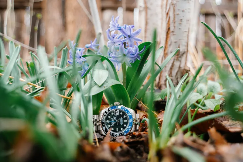 Read article: Luxury Watch Care: Top Maintenance Tips for Timepieces