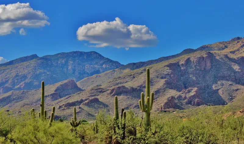 Read article: 10 Ways to Desert-Proof Your Diamonds: Jewelry Care for Phoenix Heat