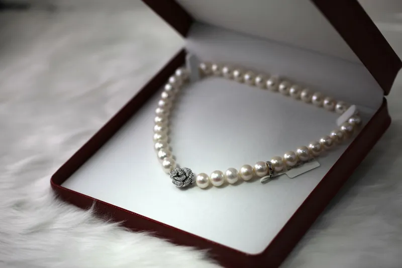 Read article: A Primer on Pearl Education: Types, Tips, and More