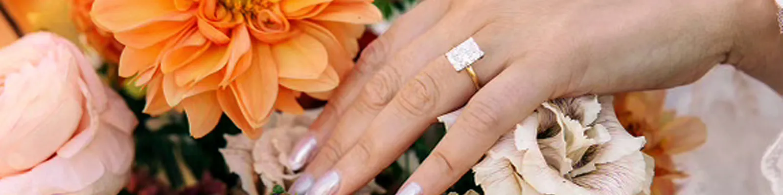 Raleigh Diamond Fine Jewelry - Raleigh, NC 27612