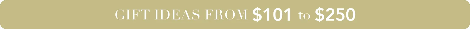 gift ideas from $101 to $250