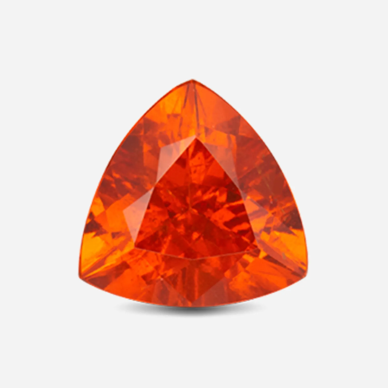 Raleigh Diamond Fine Jewelry Raleigh, NC