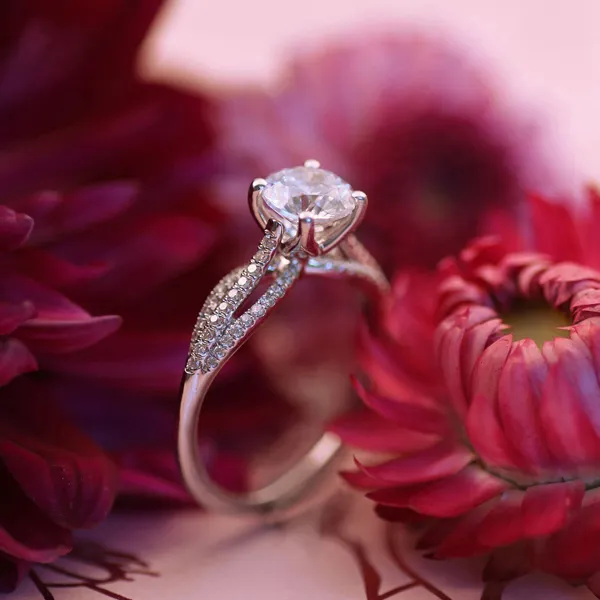 Coast Diamond  Raleigh Diamond Fine Jewelry Raleigh, NC