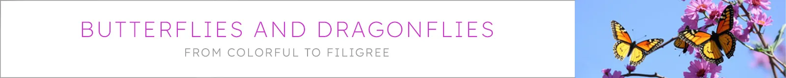 Butterflies and Dragonflies