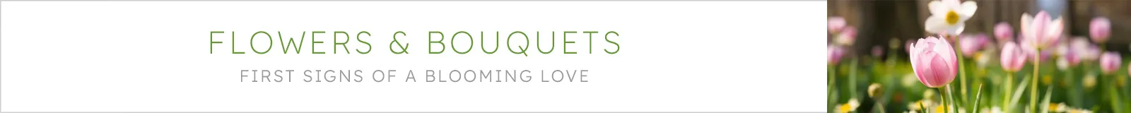 Flowers and bouquets