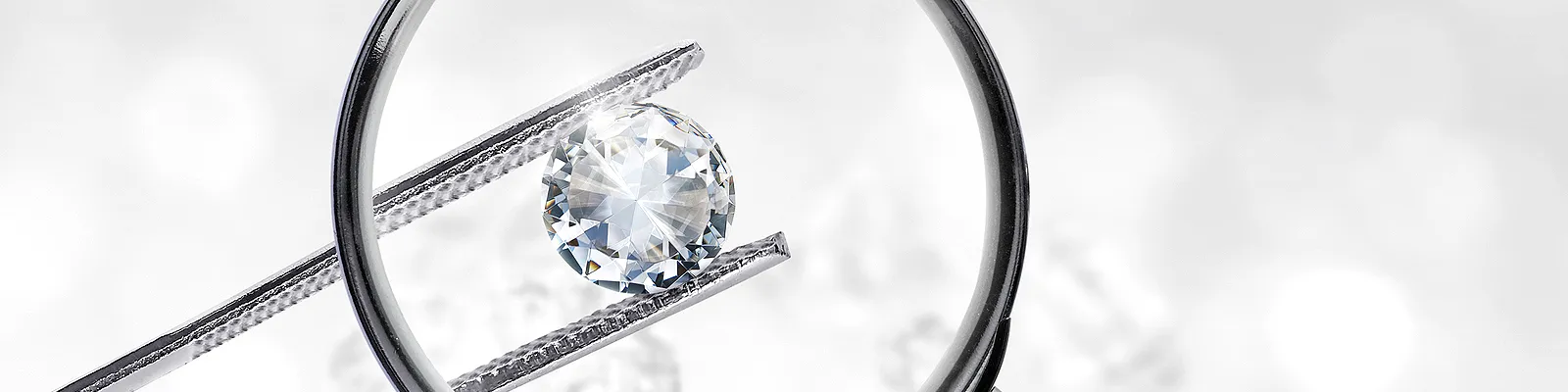 Raleigh Diamond - Insurance Appraisals