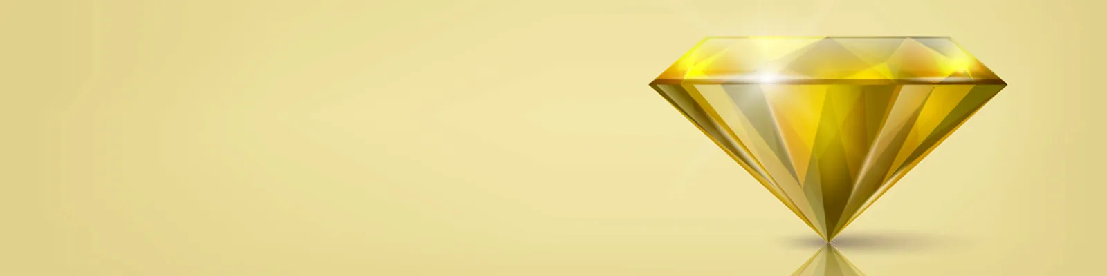 warranties and guarantees
