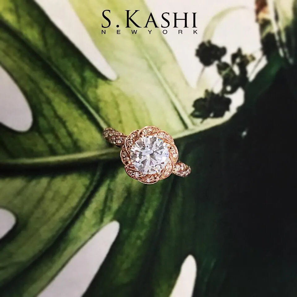 S. Kashi