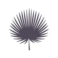 Your Widget Header Text Goes Here Lorem ipsum dolor sit amet consectetur adipiscing elit. Reflections In Gold Venice, FL