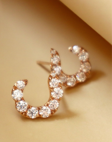 Shop Earrings | Rollands Jewelers Libertyville, IL