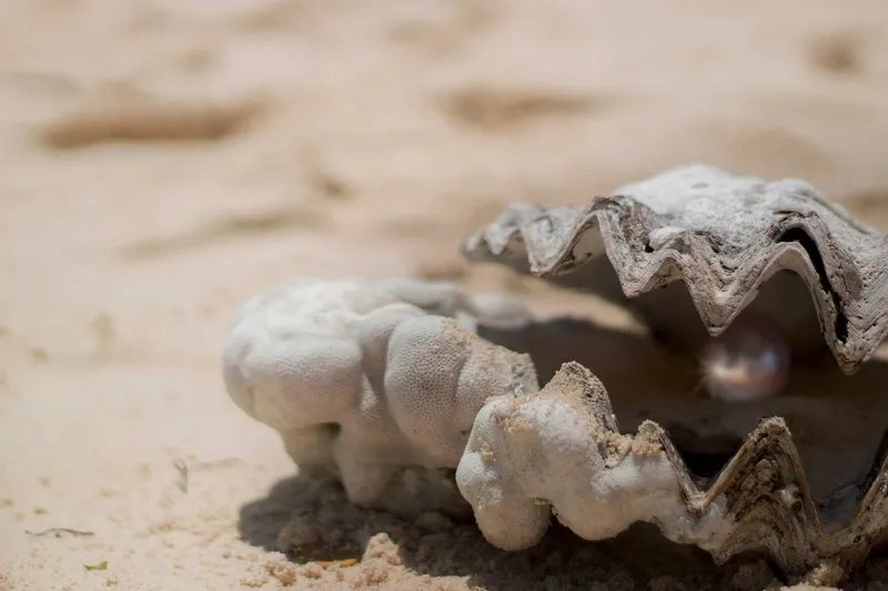 Read article: Imperial Pearls