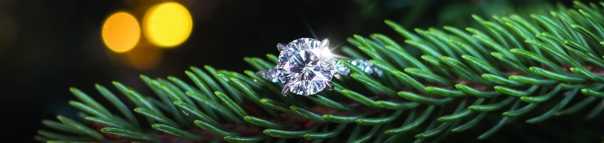 A round brilliant diamond engagement ring resting on a pine branch with warm holiday lights