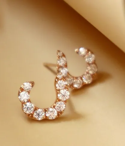 Diamond Earrings  Saxons Fine Jewelers Bend, OR