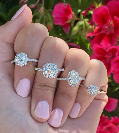 Shelle Jewelers, Inc Northbrook, IL
