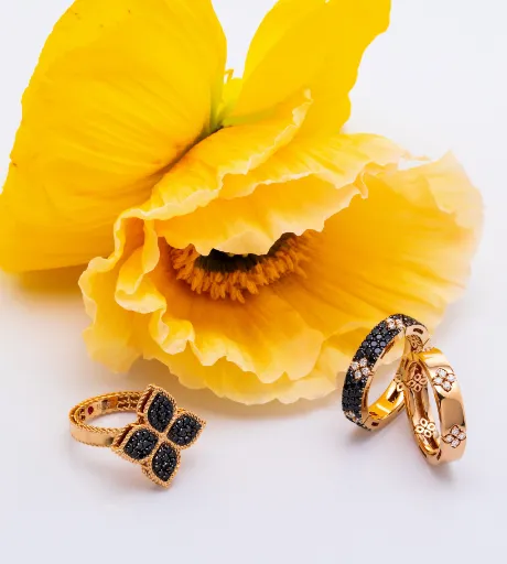 Shelle Jewelers, Inc Northbrook, IL